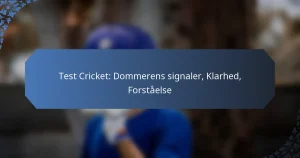 Test Cricket: Dommerens signaler, Klarhed, Forståelse