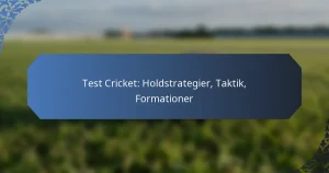 Test Cricket: Holdstrategier, Taktik, Formationer