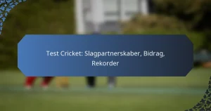 Test Cricket: Slagpartnerskaber, Bidrag, Rekorder