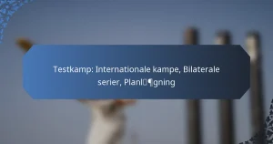 Testkamp: Internationale kampe, Bilaterale serier, Planlægning