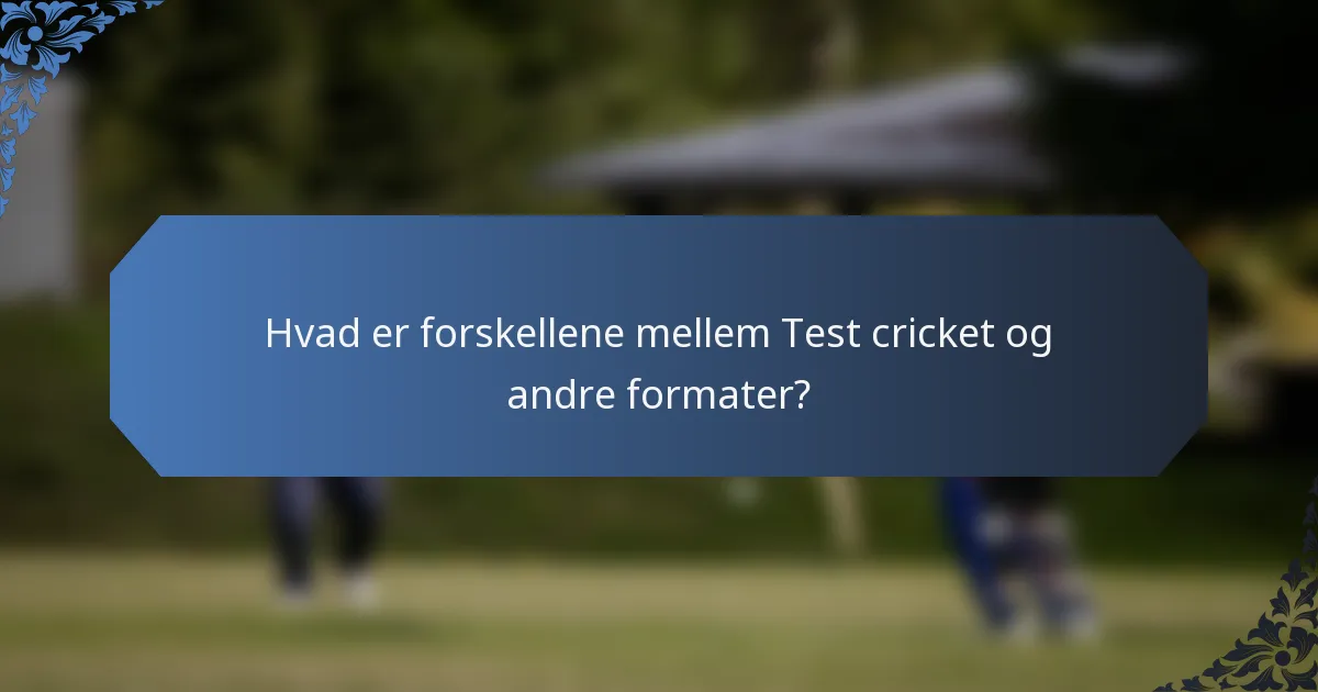 Hvad er forskellene mellem Test cricket og andre formater?