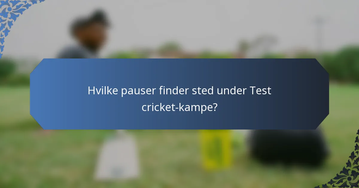 Hvilke pauser finder sted under Test cricket-kampe?