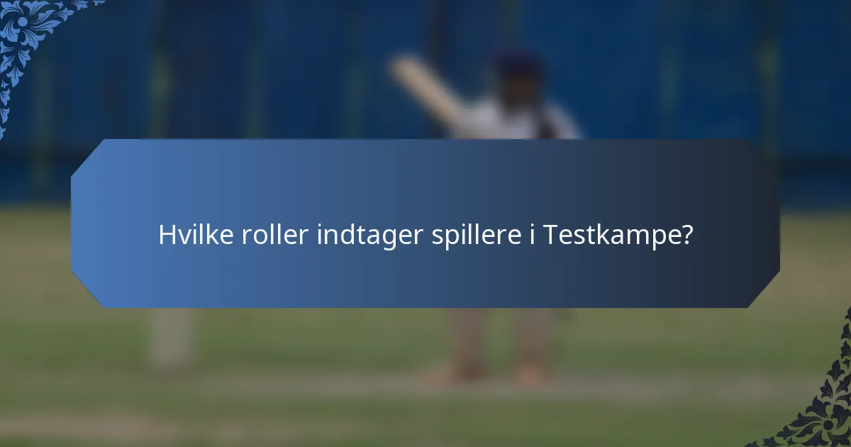 Hvilke roller indtager spillere i Testkampe?