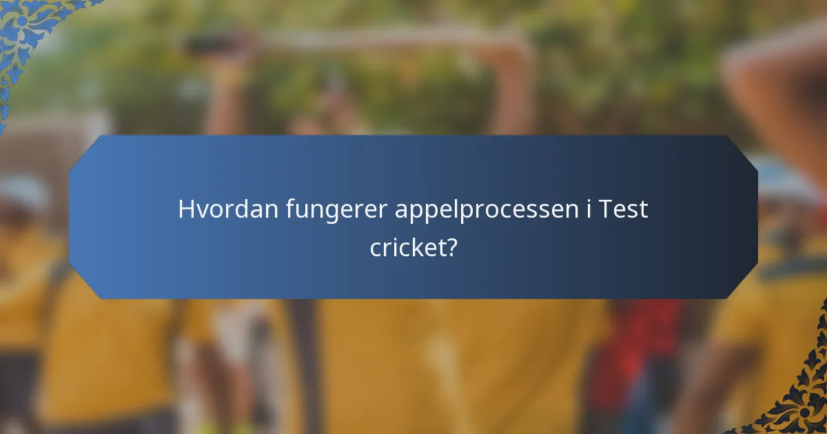 Hvordan fungerer appelprocessen i Test cricket?